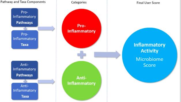 inflammation scores