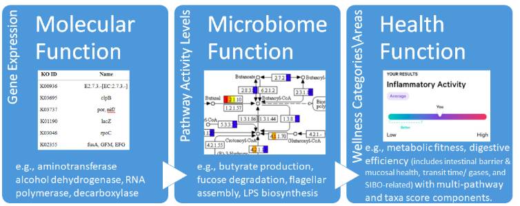 microbiome health function chart