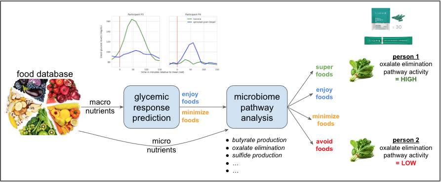 Viome Recommendation System